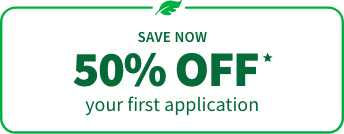Save Now
