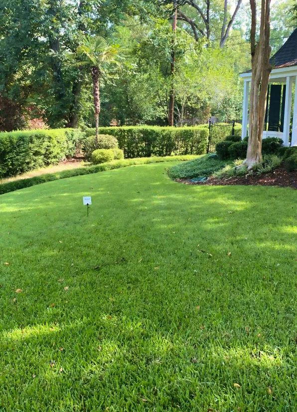 Luscious grass in a backyard serviced by Trugreen