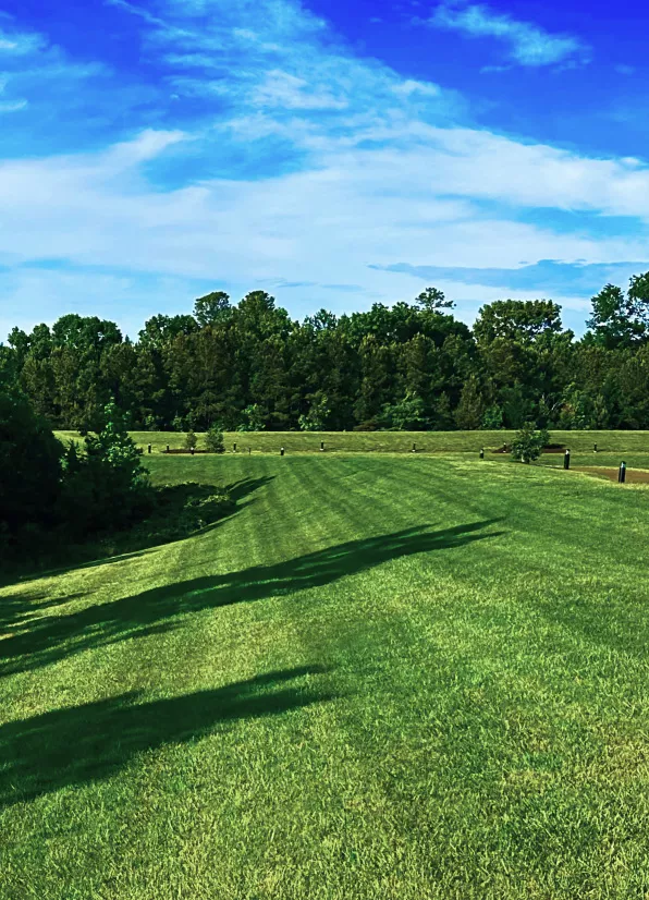 Large green lawn